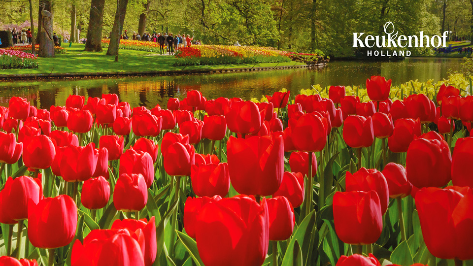 Altermedia Keukenhof Schiphol Hotel Shuttle Taxireclame